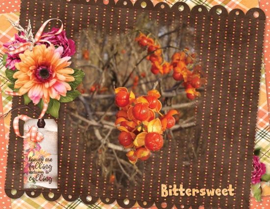 2024-09-designer spotlight challenge