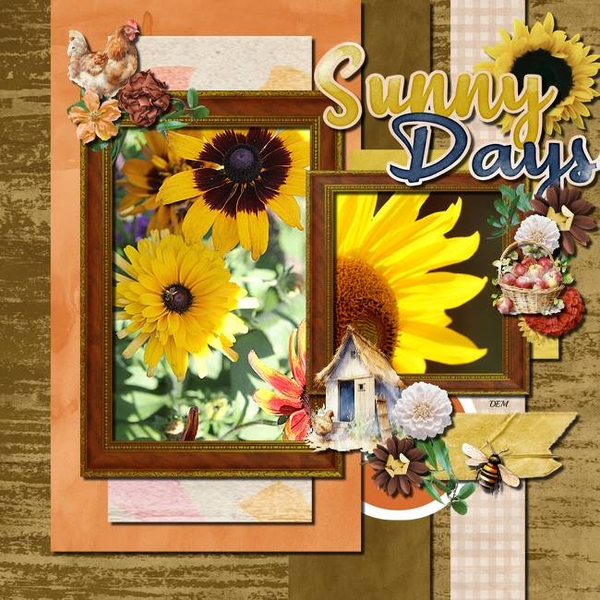 2024 09 Template Challenge #2