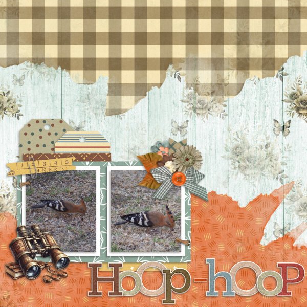 2024-11-06_Hoop-Hoop