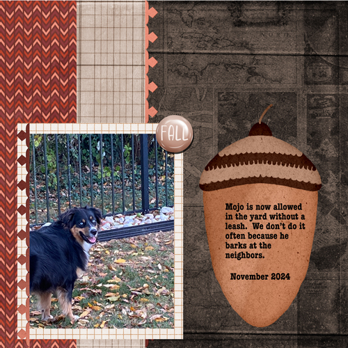2024-11-14 Mojo Yard