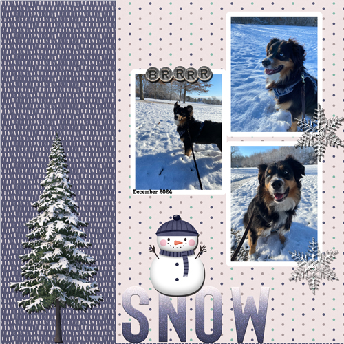 2024-12-21-Mojo snow