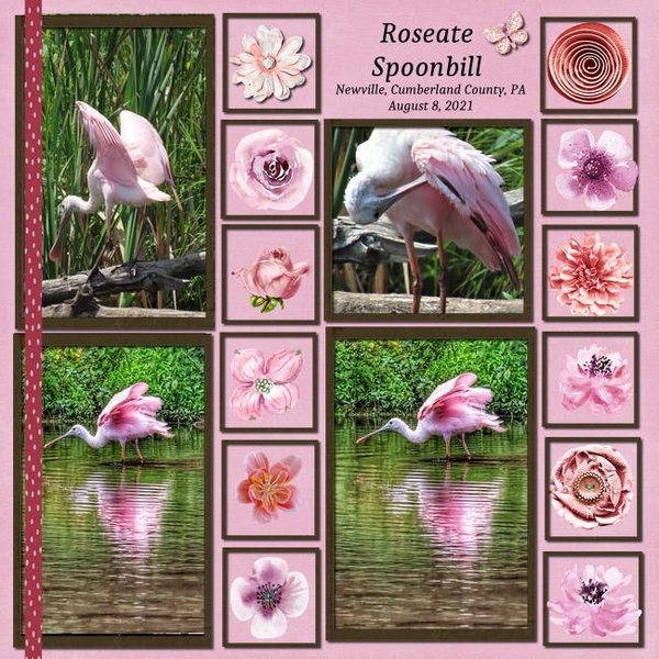 2024 12 Template Challenge #1