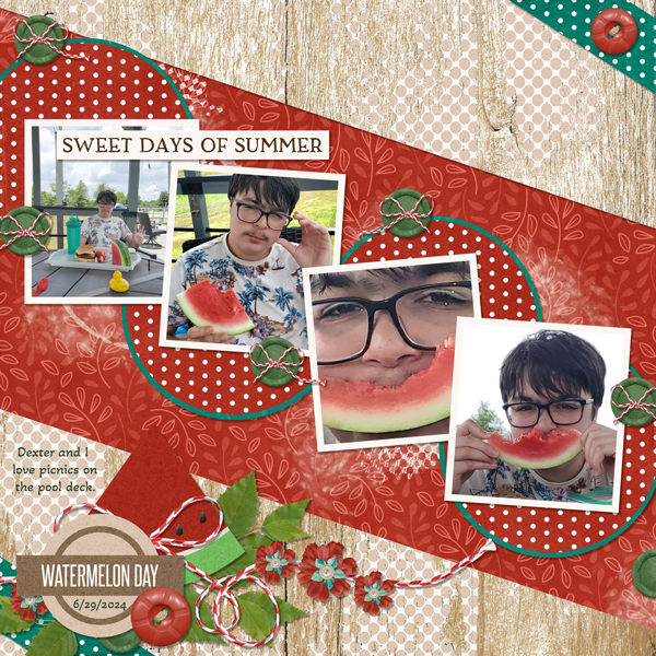 2024 August Bundle from Designs by Connie Prince
