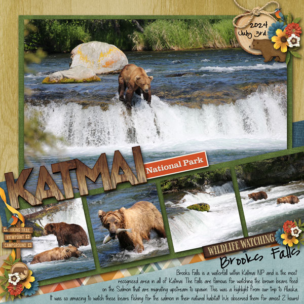 2024 August Spotlight Designer Challenge