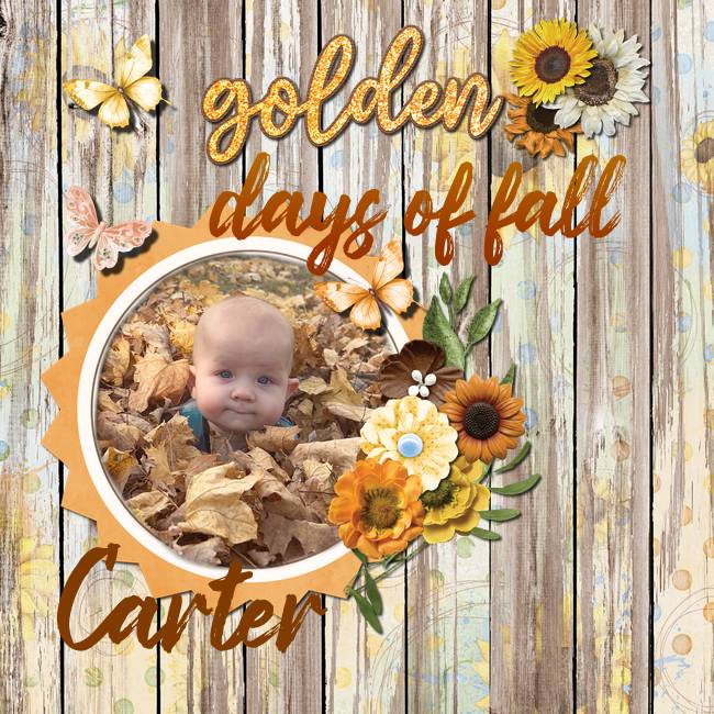 2024 Fall Mohney, Carter