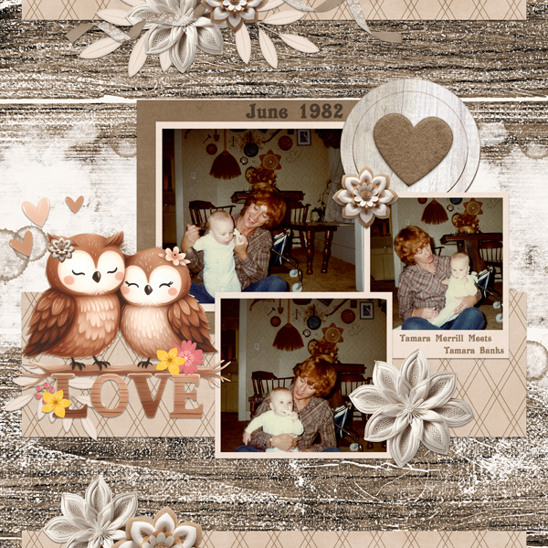 2024 February Bundle from Designs by Connie Prince