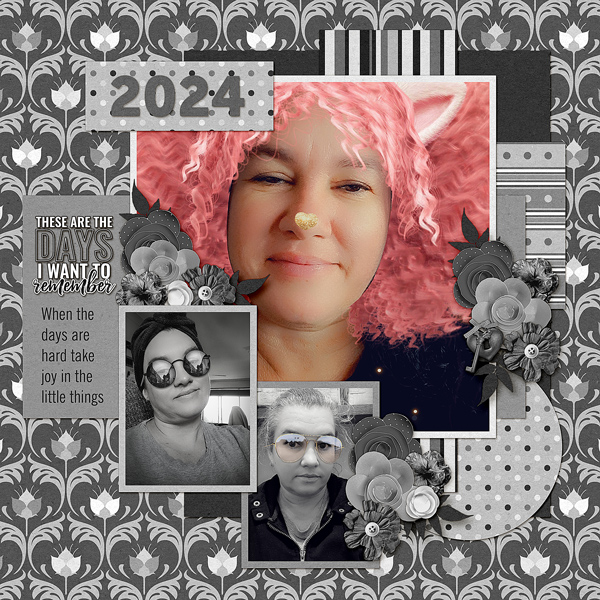 2024 filters