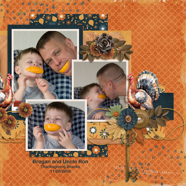 2024 November Bundle from Designs by Connie Prince