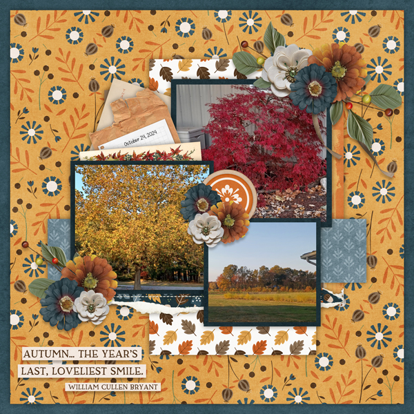 #2024 November with Template #3