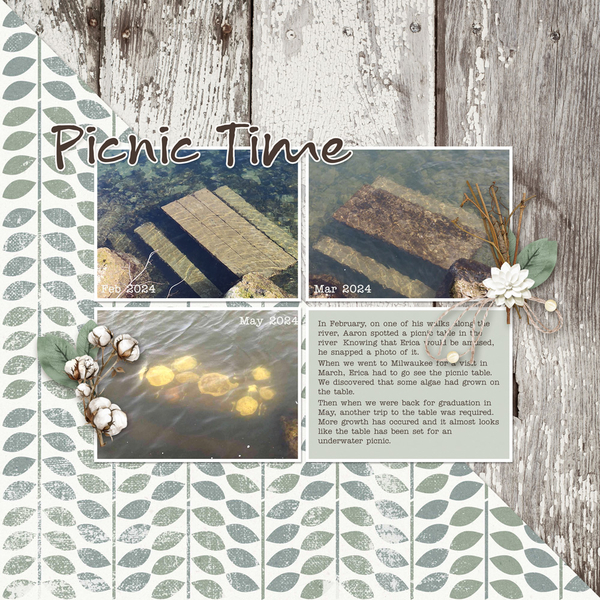 2024-picnic-table