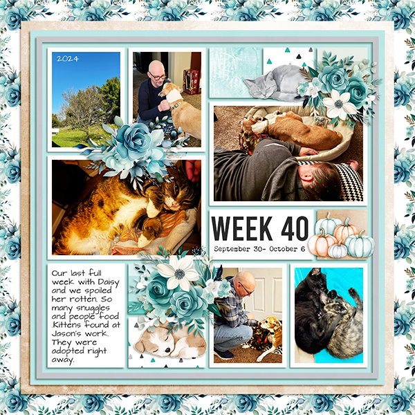 2024 PL Week 40