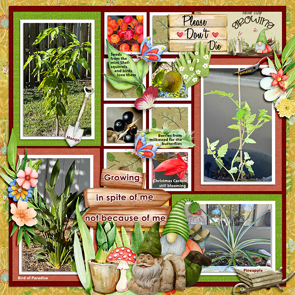 2024 Plants