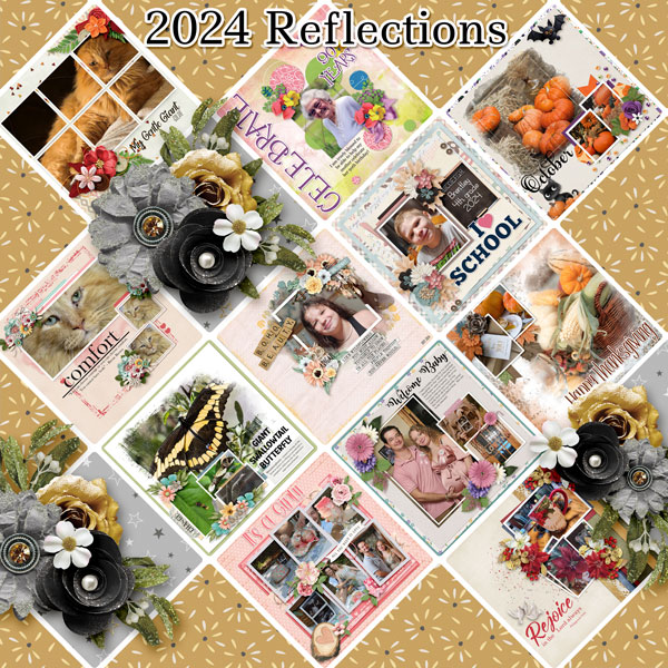 2024 Reflections