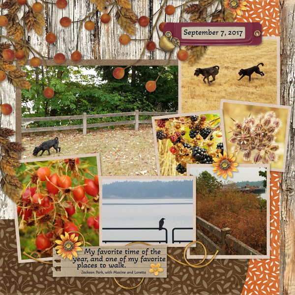 2024 September Bundle from Designs By Connie Prince