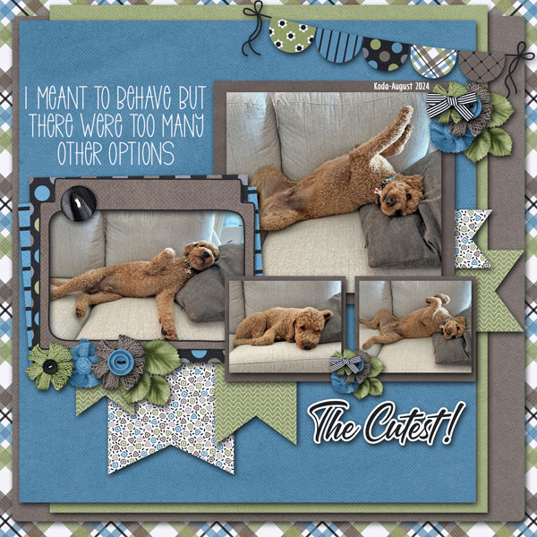 2024 September Designer Spotlight Challenge