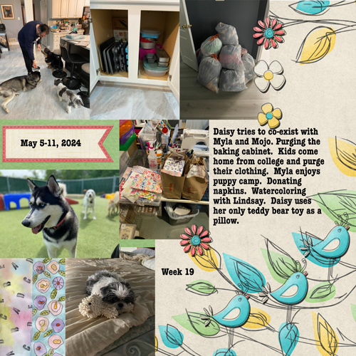 2024 Week 19