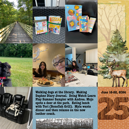 2024-week 25