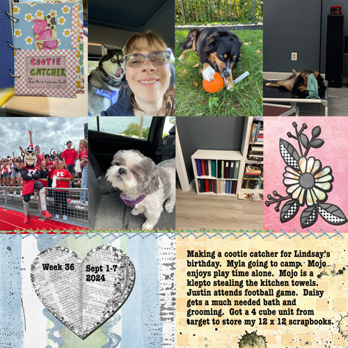 2024 week 36