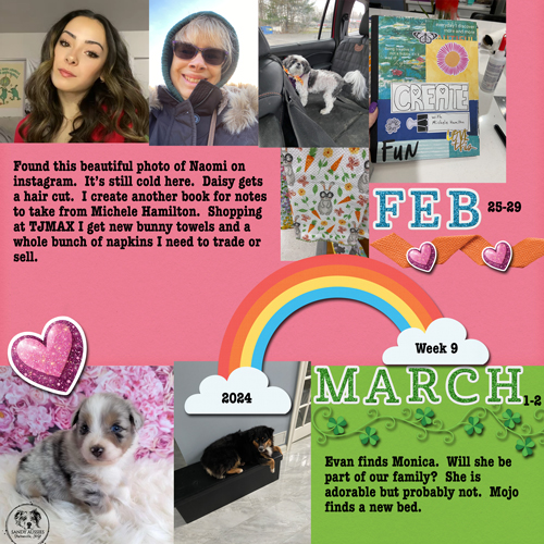 2024 week 9