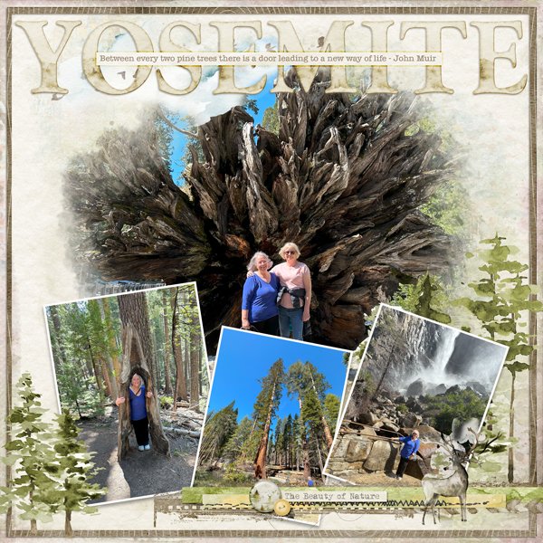 20240411-Yosemite-20250611.jpg