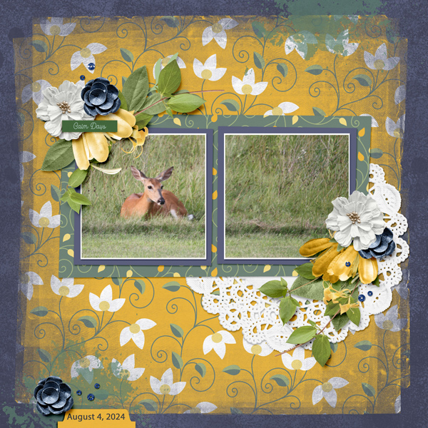 202408 Template Challenge #3