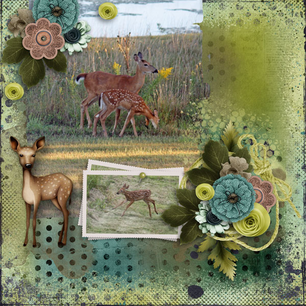 202409 Designer Challenge