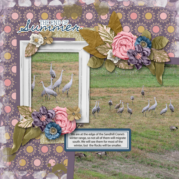 202409 Template Challenge #3