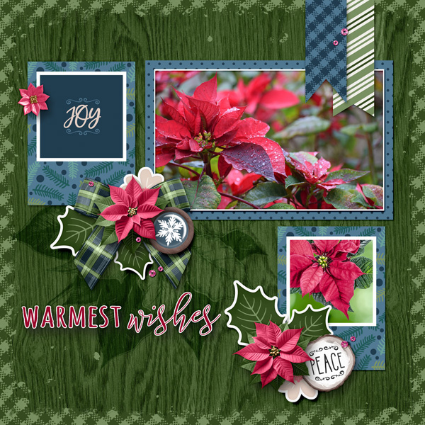 202412 Template Challenge #3
