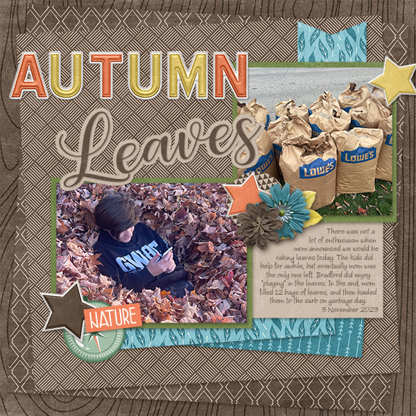 2024_11_03-B-AutumnLeaves
