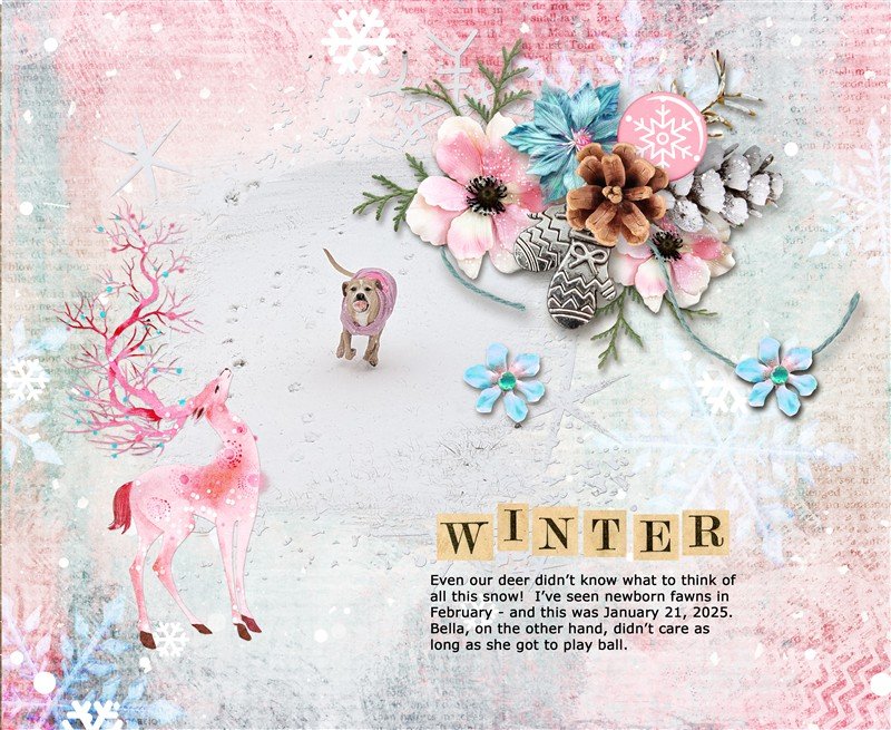 2025-01-21 winter