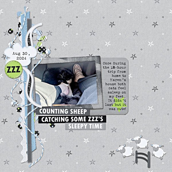 2025-01-TMS_CountingSheep-KatL.jpg