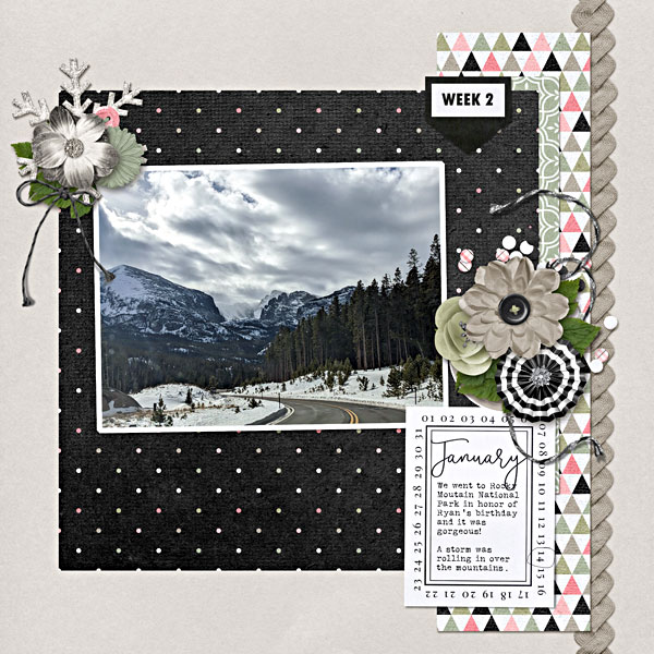 2025-01-TMS_Month-January_KatL