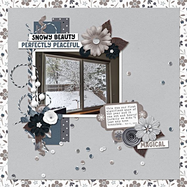 2025-01-TMS_SnowyWInter-KatL.jpg