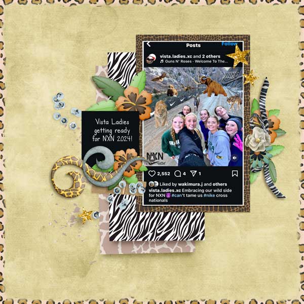 2025-01 Wild About Styles Challenge