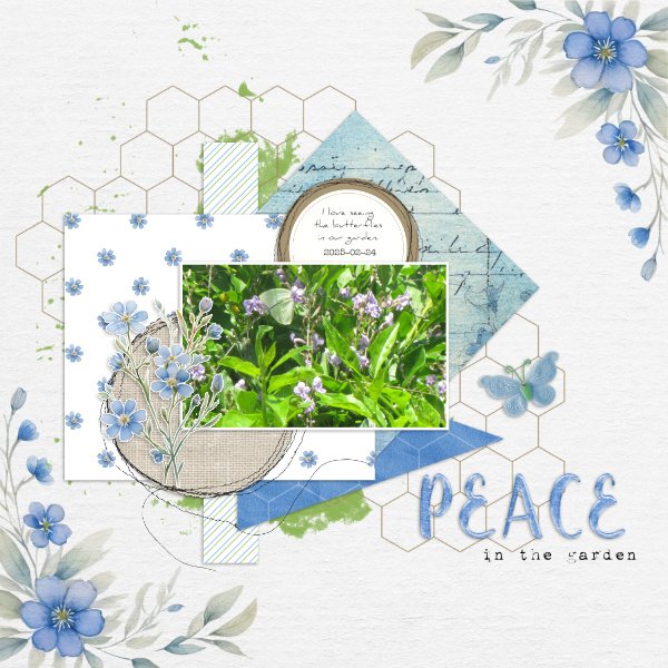 2025-02-24_Peace