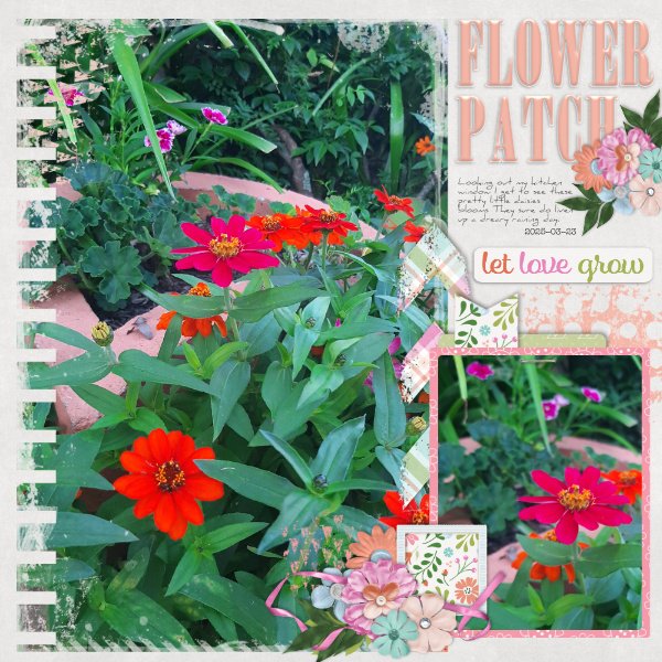 2025-03-23_FlowerPatch
