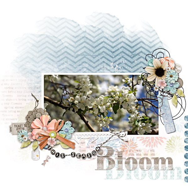 2025-03-JBS_SpringShowers_MFish_SweetSpring_02.jpg