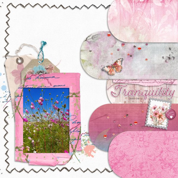 2025-04-11_Tranquility