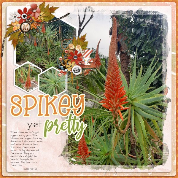 2025-05-15_SpikyYetPretty