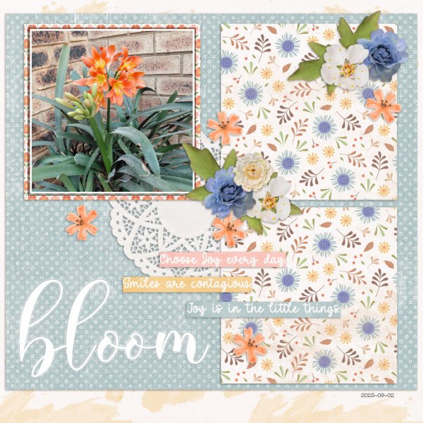 2025-09-02_Bloom
