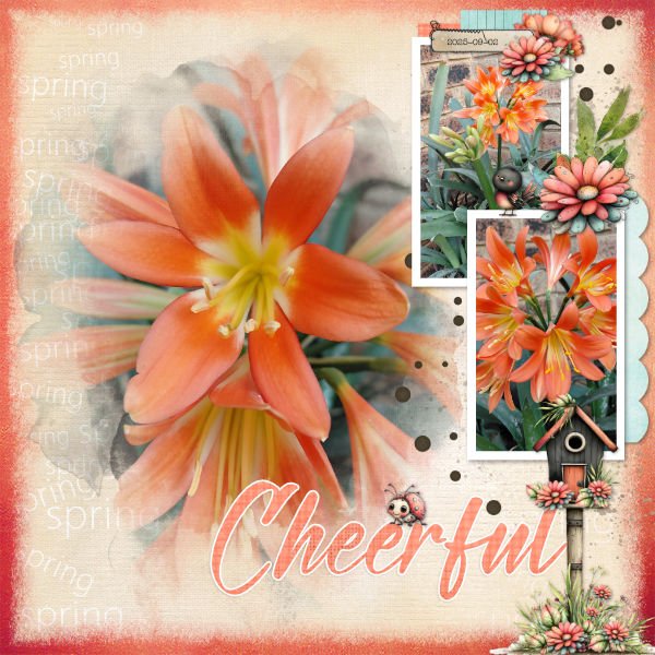 2025-09-02_Cheerful