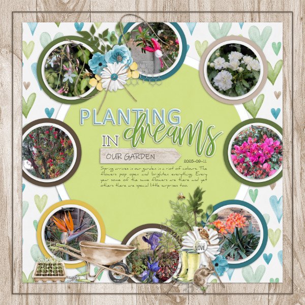 2025-09-11_PlantingDreams