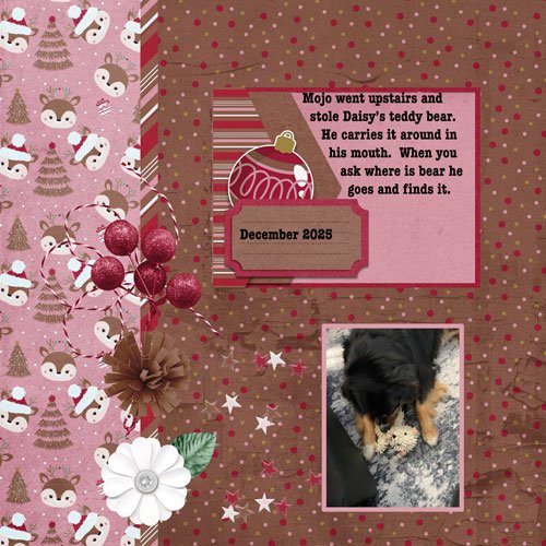 2025-12-12-mojo-bear.jpg
