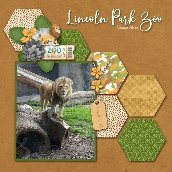 2025 August Template Challenge with Scrapbookcrazy Creations