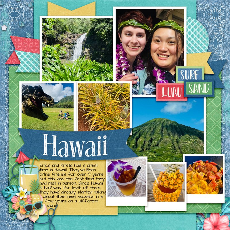 2025-E-Hawaii.jpg