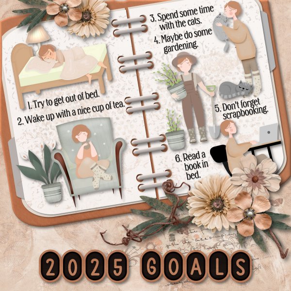 2025 Goals