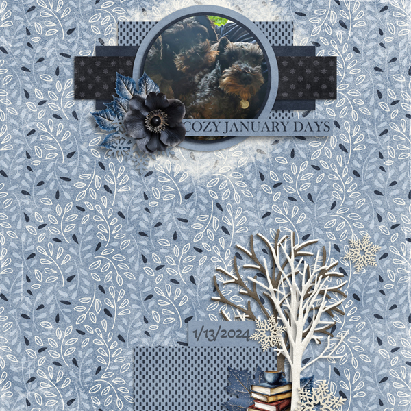 2025 January Bundle by Designs by Connie Prince