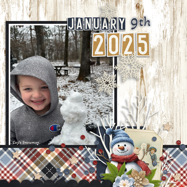 2025 January bundle From Designs by Connie Prince
