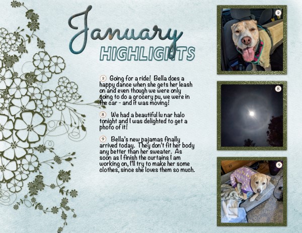 2025 January Highlights
