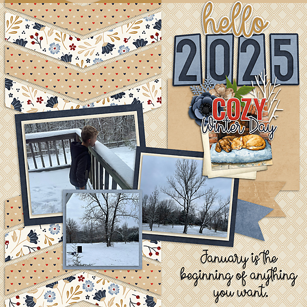 #2025 January